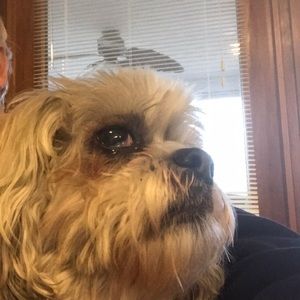 Meet your Posher, Lea